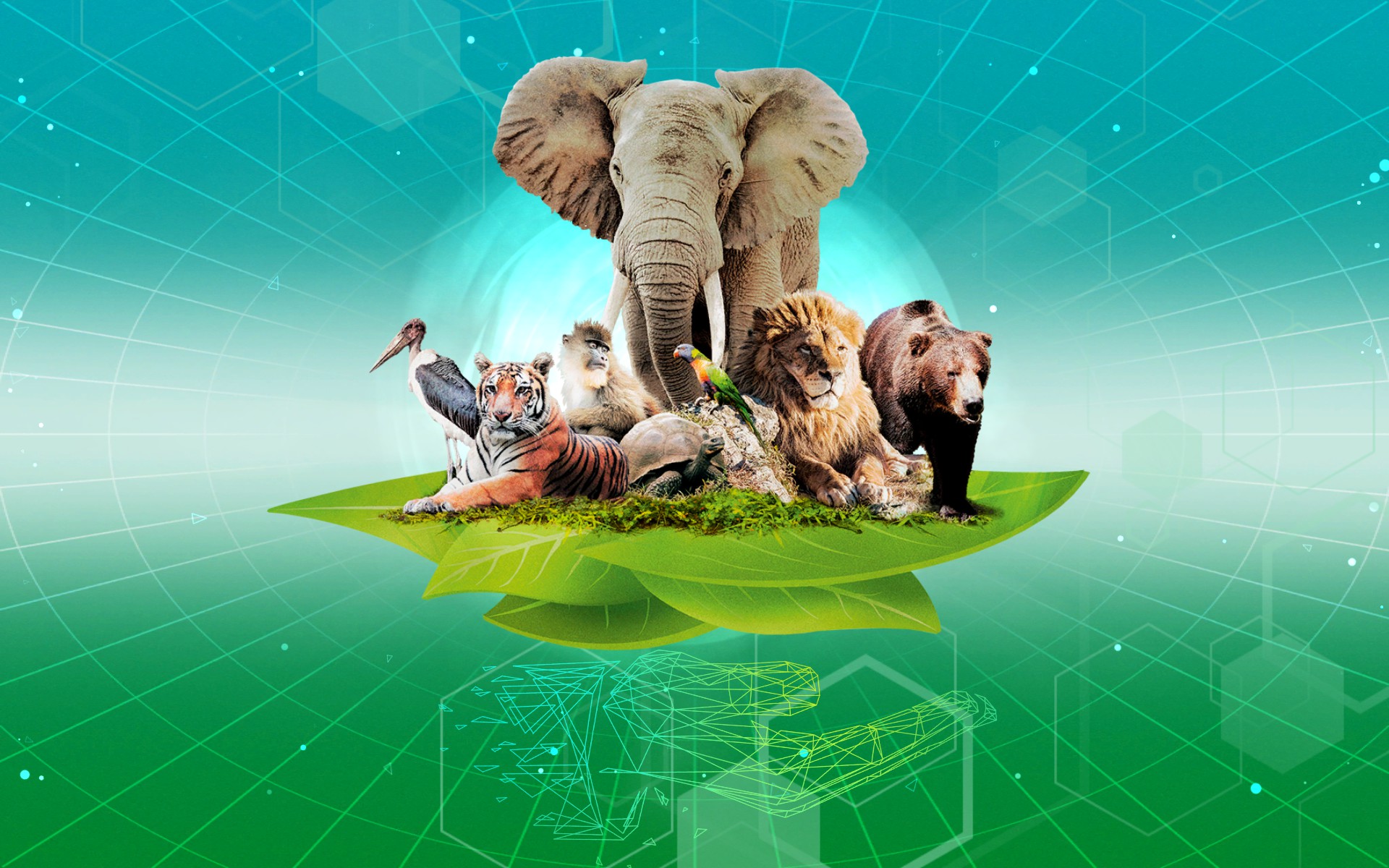 Ark Nova 第7回 AIとの対戦(後編)